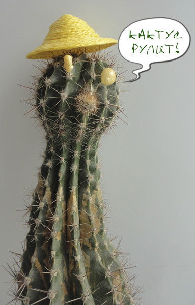 Жанар Кунанбаева