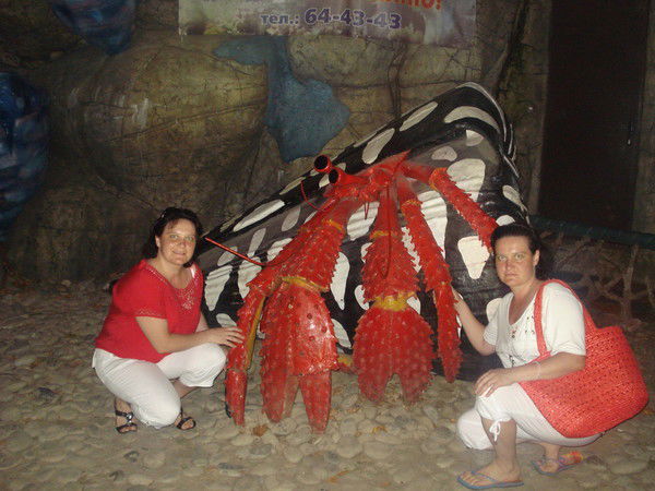 Света Каретко