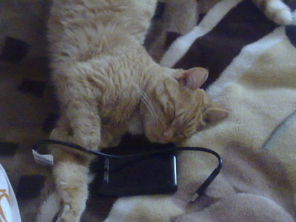 Михаил Болсуновский