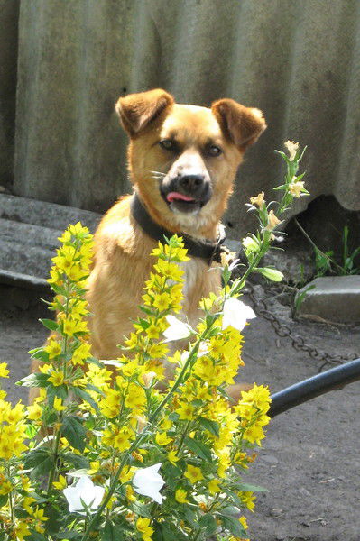 Владимир Юров