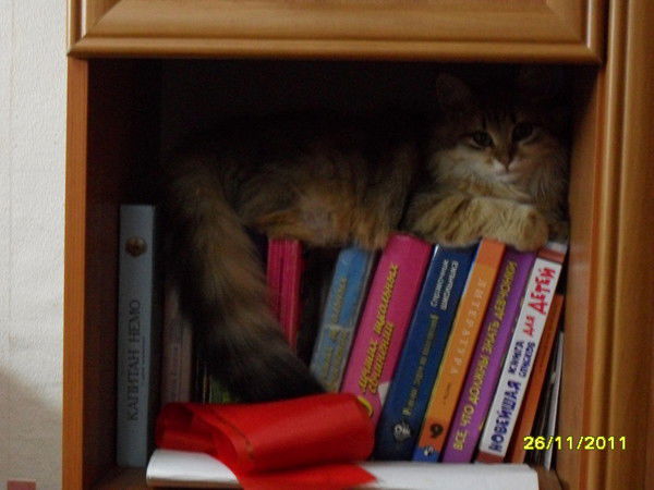 Геннадий Касаткин