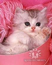 Ирина Бурилко - Сальва