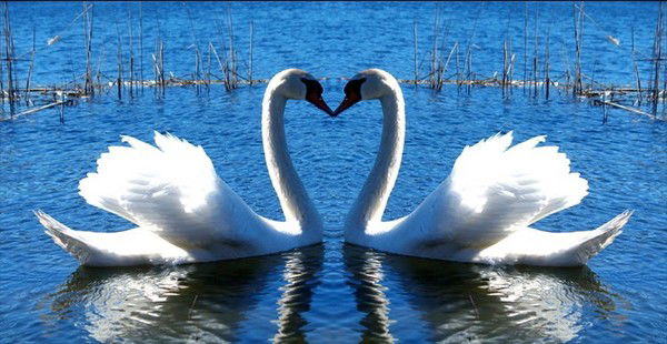 Аяжан Шонаева