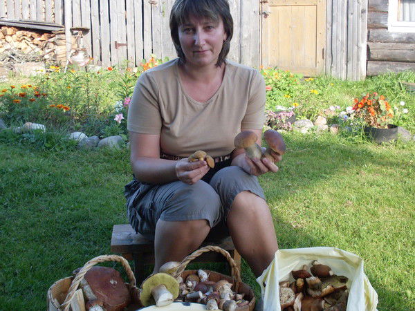 Юлия Матвеева