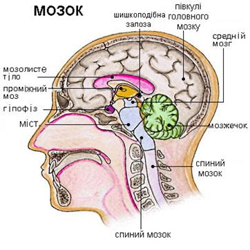 Александра Счастливая