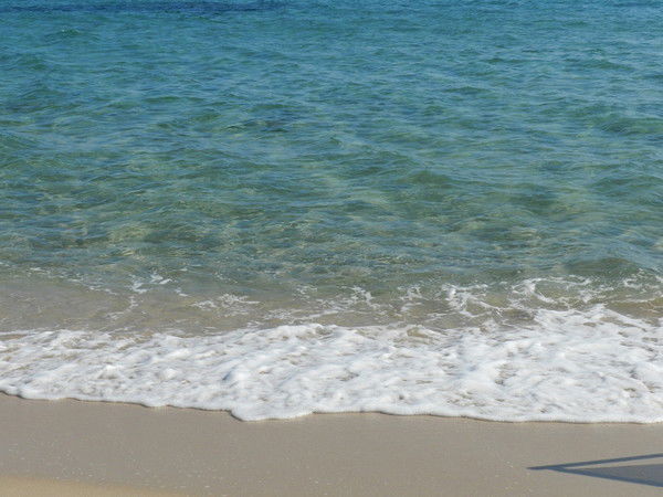 Алёна Крылова