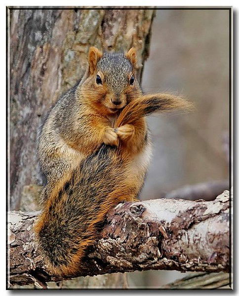 Юлия Воробьева