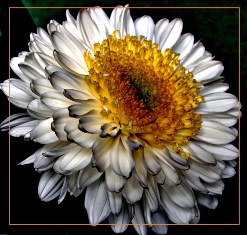 Олег Грушко