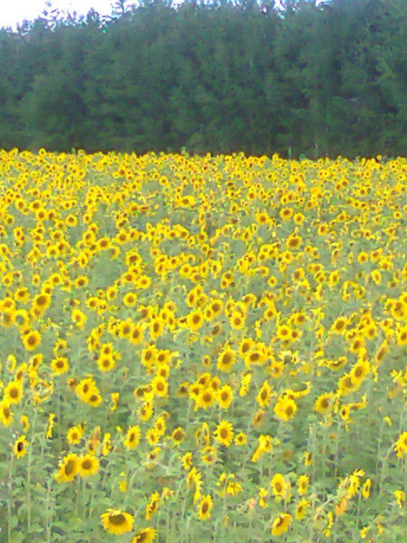 Артур Асхатов