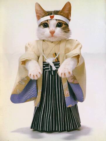 Анастасия Ивахтина