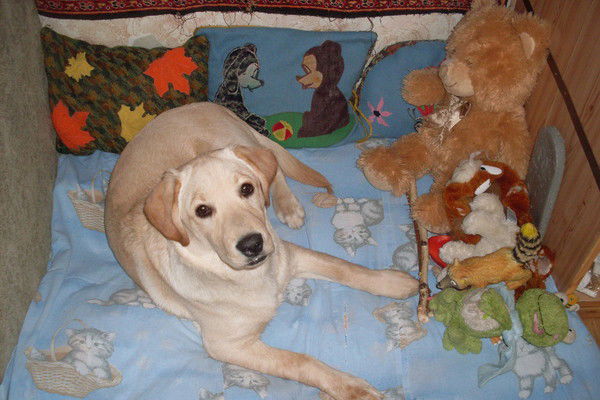 Мария Лобанова