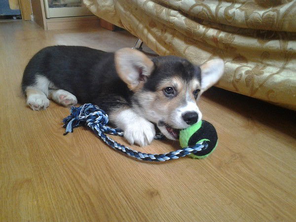 Наталья Тремаскина