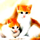 Анжелика Баштовенко