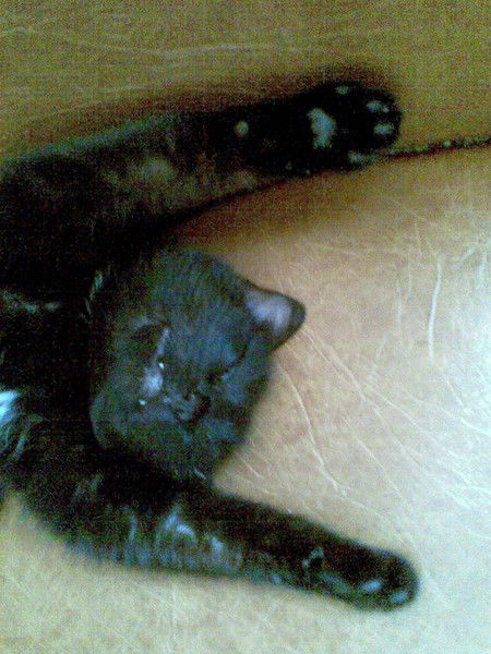 Марат Муратович