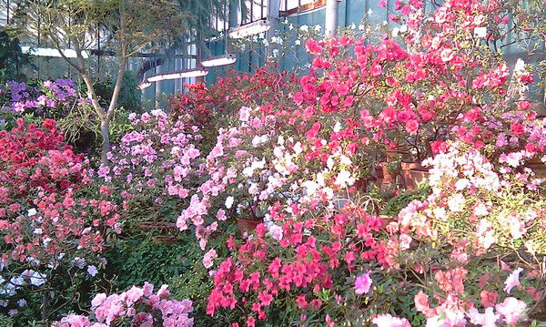 Евгений Германович