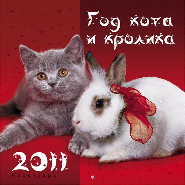 Светлана Ильина