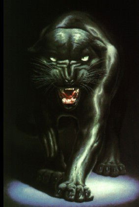 Николай Рындин