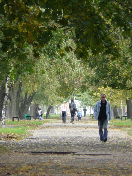 Вадим Кучеренко