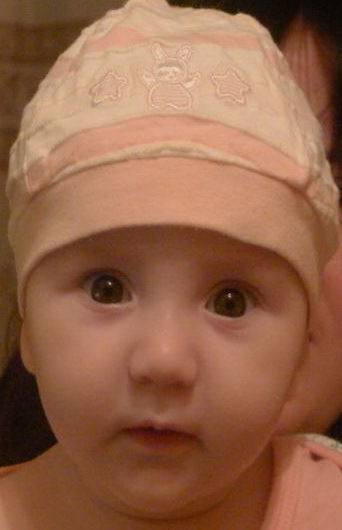 Николай Кулик