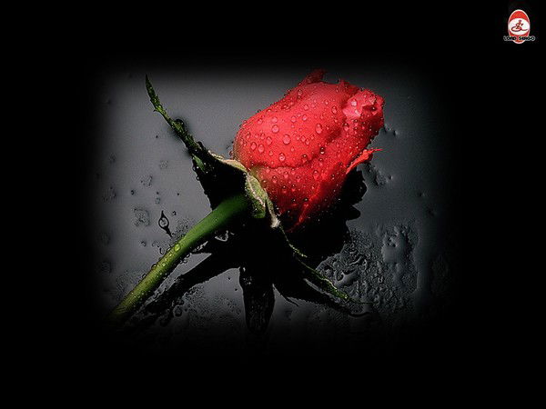 Гульнара Гайнутдинова