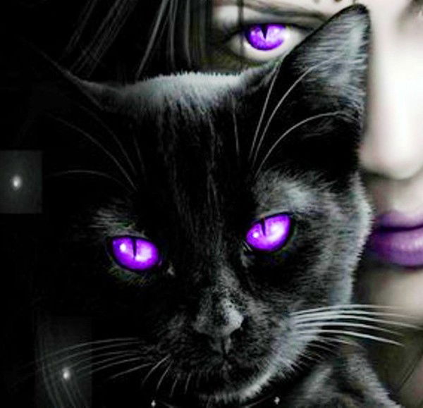 Валера Борисович