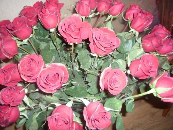 Алевтина Кан