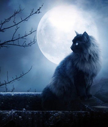 Лиана Мансумова