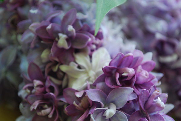 Ирина Дурихина