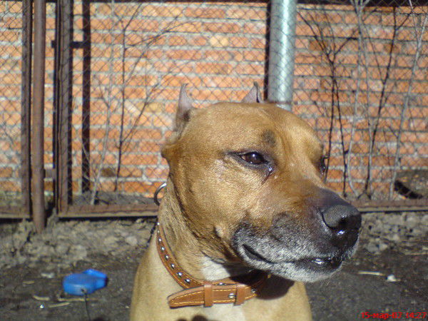 Эдуард Ревко