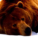 Александр Богданов