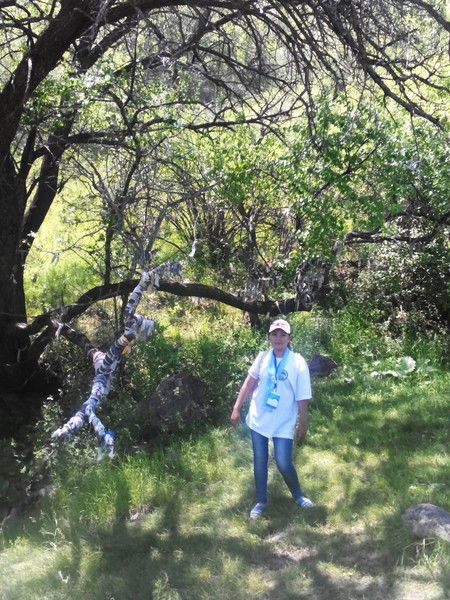 Айман Лесова