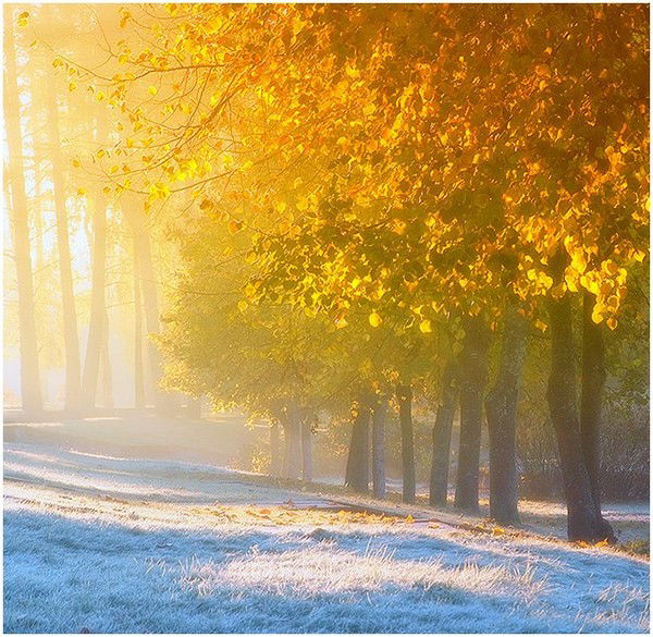 Римма Шафигуллина