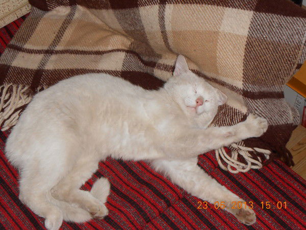 Свияр Чукигекова