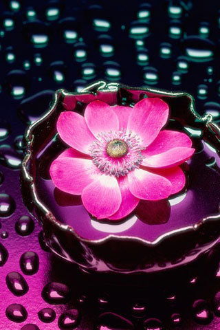 Татьяна Шадрунова