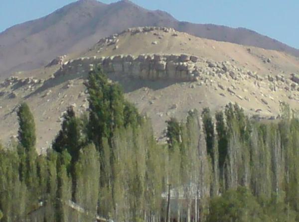 Махбуба Ганиева