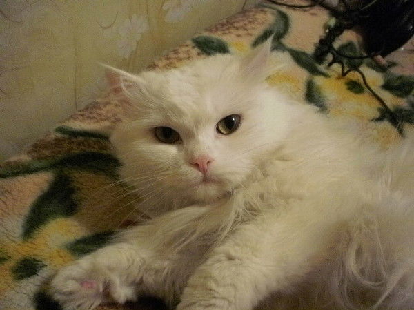 Владимир Варовин