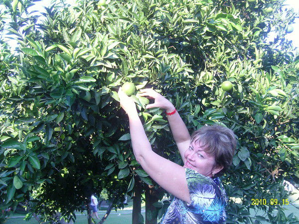 Александра Миронова