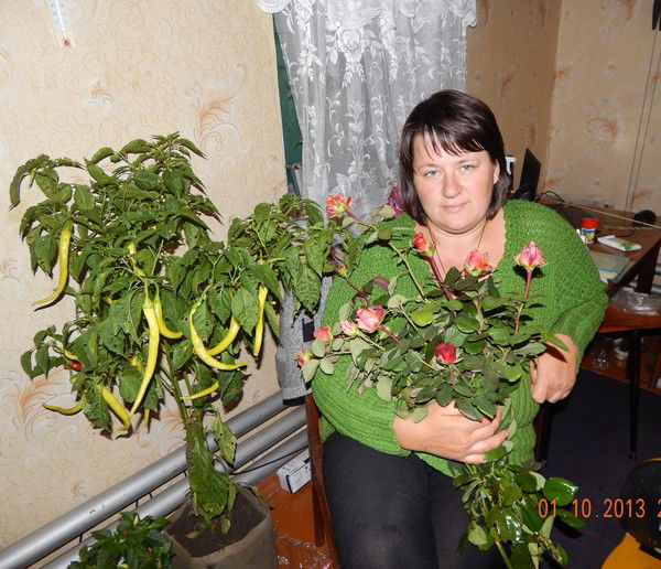 Светлана Дыль