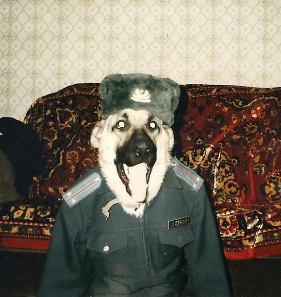 Андрей Варанкин