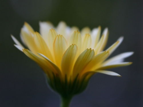 Слава Щербаков