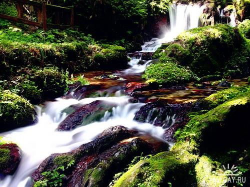 Шынар Стамбекова