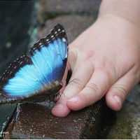 Надежда Чукреева