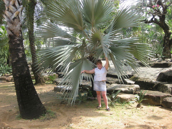 Наташа Климанова