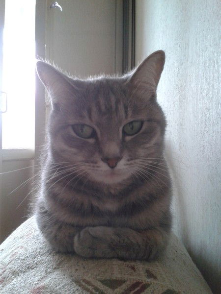 Надежда Германова