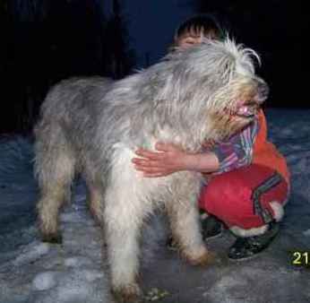 Ирина Булавина