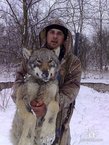 Шамиль Амаев