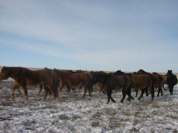 Иргизский Рсхо