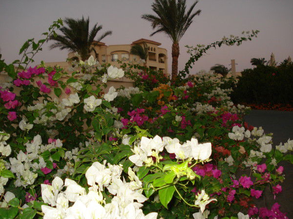 Надежда Кувшинова