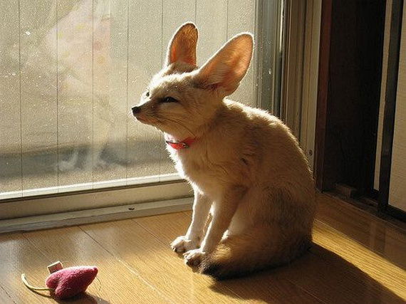 Сережа Березин