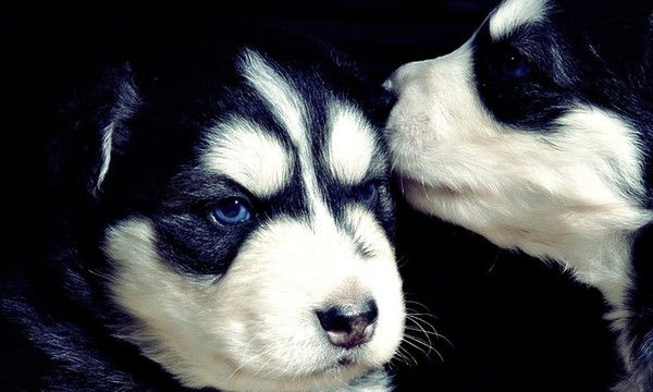 Алина Соколова